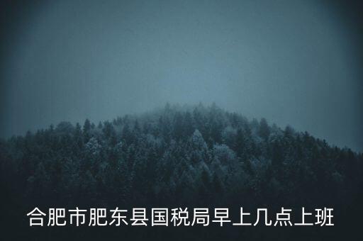 安徽國稅什么時候上班時間，國稅局的上班時間