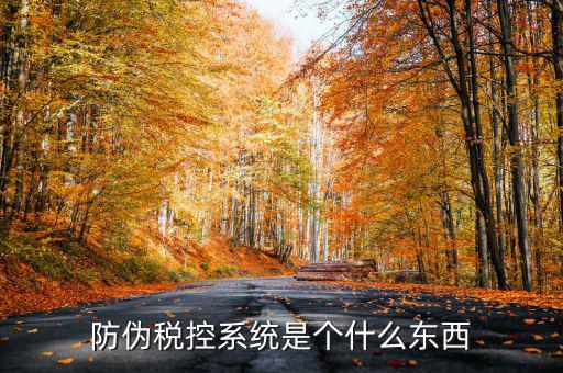 防偽稅控一體化什么時候，營改增后漢字防偽企業(yè)抄報稅時需要使用什么設(shè)備