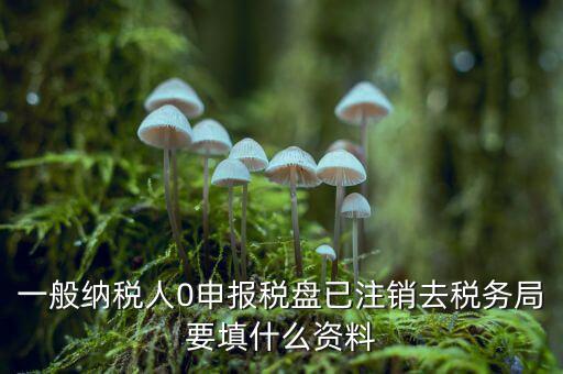 注銷金稅盤需要帶什么資料，請問注銷稅務(wù)登記需要提供哪些資料