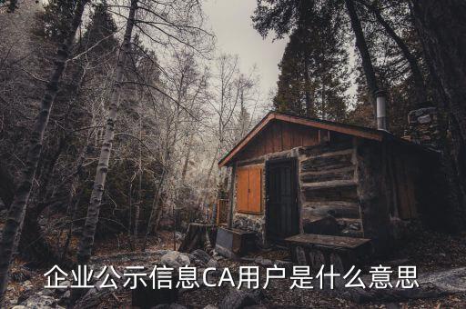 納稅人ca用戶是什么意思，什么是CA用戶啊