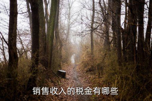 銷售交什么稅，銷售收入的稅金有哪些