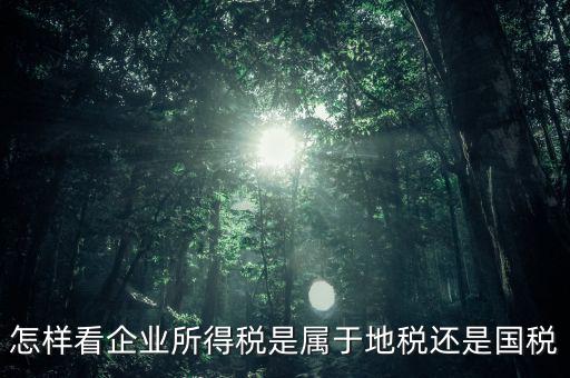 所得稅屬于什么稅，所得稅包括什么稅