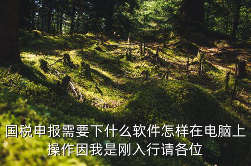 寶雞國稅用的什么軟件報稅，寶雞報稅怎么報