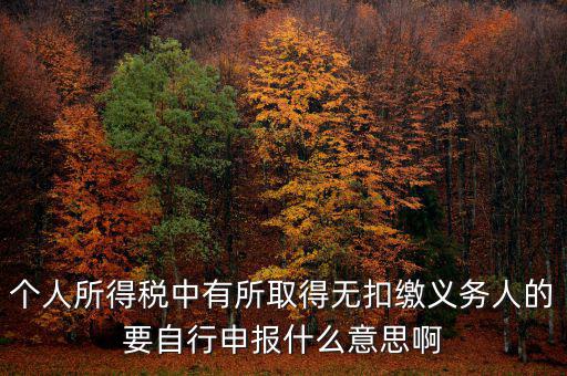個(gè)人所得稅中有所取得無(wú)扣繳義務(wù)人的要自行申報(bào)什么意思啊