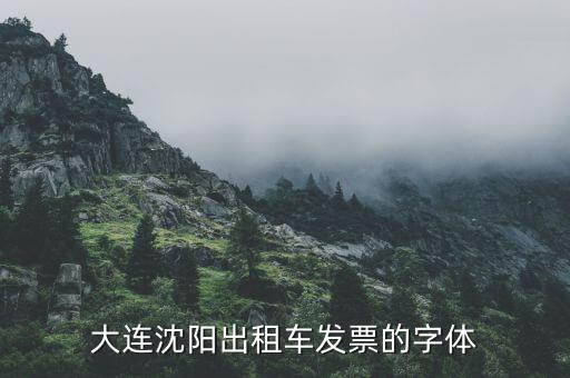 大連停車(chē)場(chǎng)發(fā)票什么樣，大連增值稅普通發(fā)票真?zhèn)卧趺床樵?xún)
