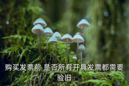 購買發(fā)票前 是否所有開具發(fā)票都需要驗(yàn)舊