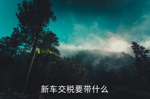新車(chē)交稅要帶什么