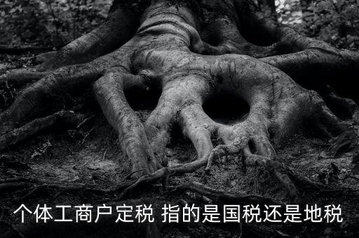 個(gè)體戶定稅是什么意思，疑難國(guó)稅個(gè)體戶定稅