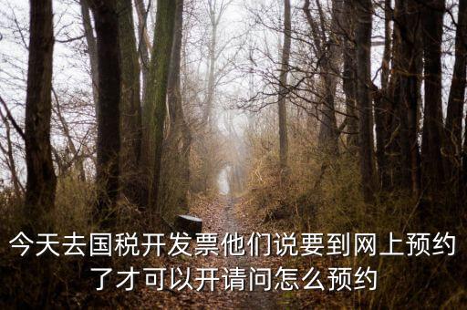 國稅預約的是什么，拿金稅盤去國稅前臺弄要預約嗎