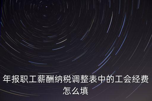 年報職工薪酬納稅調(diào)整表中的工會經(jīng)費(fèi)怎么填