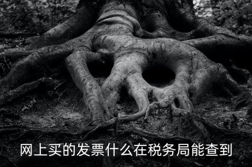 網(wǎng)上查發(fā)票能查到什么內(nèi)容，網(wǎng)上買的發(fā)票什么在稅務(wù)局能查到