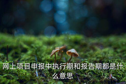 網上項目申報中執(zhí)行期和報告期都是什么意思