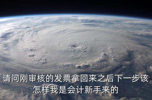 發(fā)票核定完之后接下來做什么，請問剛審核的發(fā)票拿回來之后下一步該怎樣我是會計新手來的