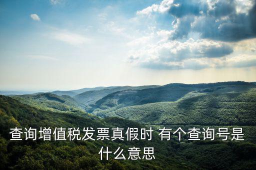 陜西省發(fā)票查詢號是什么意思，電子發(fā)票號碼是什么意思