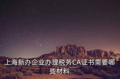 2014年7月份上海稅務(wù)局還需要審什么證，上海新辦企業(yè)辦理稅務(wù)CA證書需要哪些材料