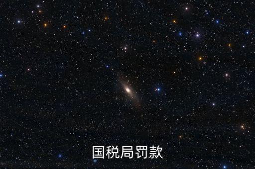 國稅局罰款
