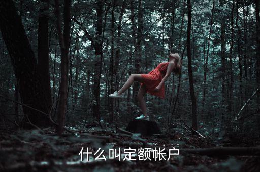 國(guó)稅的定期定額戶是什么意思，國(guó)稅買票需要定稅或建賬是什么意思