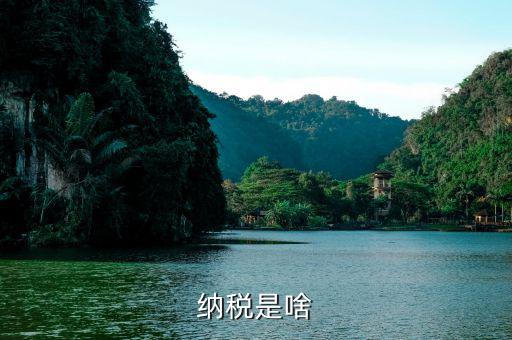 什么叫納稅，什么是納稅 六年級(jí)數(shù)學(xué)