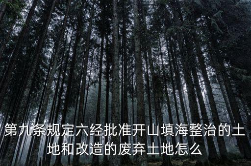 第九條規(guī)定六經批準開山填海整治的土地和改造的廢棄土地怎么