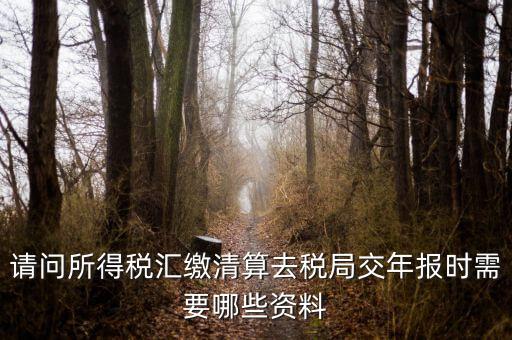 公司稅務(wù)年報需要什么，問企業(yè)所得稅年報怎么報需要什么資料