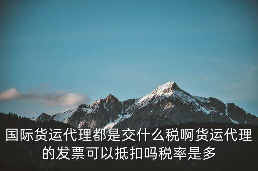 貨代公司交什么稅，國(guó)際貨運(yùn)代理都是交什么稅啊貨運(yùn)代理的發(fā)票可以抵扣嗎稅率是多