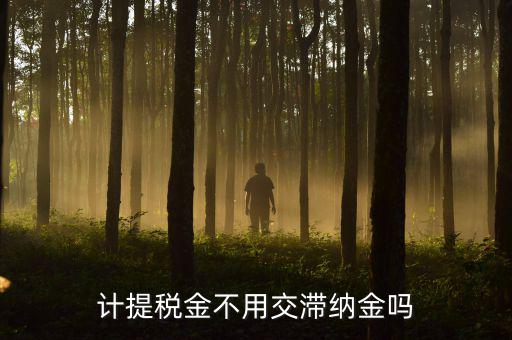 什么稅沒有滯納金，各種稅的滯納金一樣么