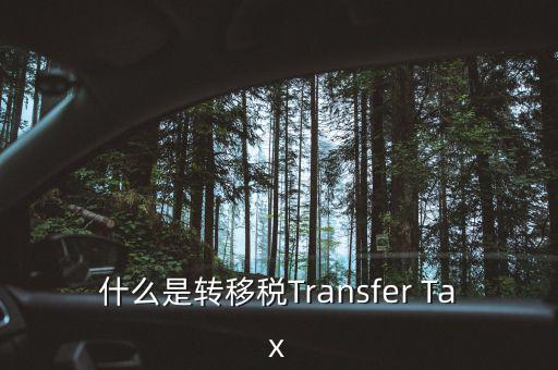 什么是跨地區(qū)稅收轉(zhuǎn)移企業(yè)，什么是轉(zhuǎn)移稅Transfer Tax