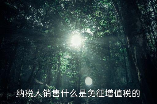什么免征增值稅，哪些屬于免征增值稅