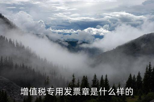 發(fā)票專用章什么樣子，增值稅專用發(fā)票章是什么樣的