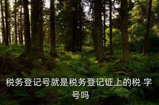 稅務(wù)登記證是什么字體，稅務(wù)登記證上的這是什么字體