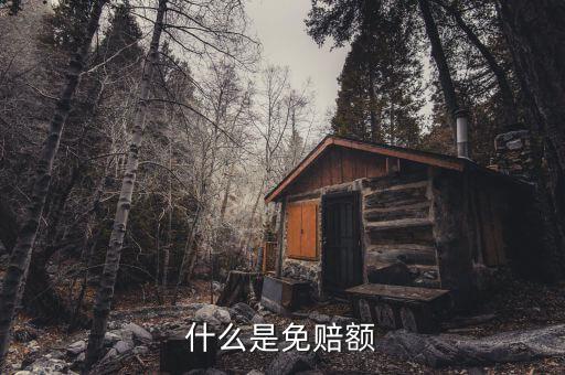 什么是免抵調庫，什么叫保險理賠免調查件