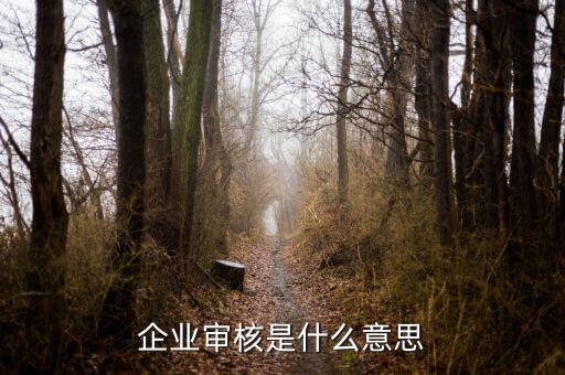 企業(yè)批票是什么意思，生產(chǎn)批次的具體定義是什么
