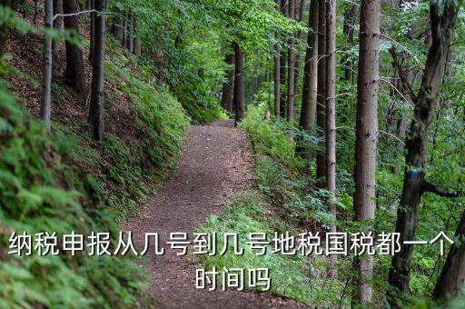 納稅申報從幾號到幾號地稅國稅都一個時間嗎