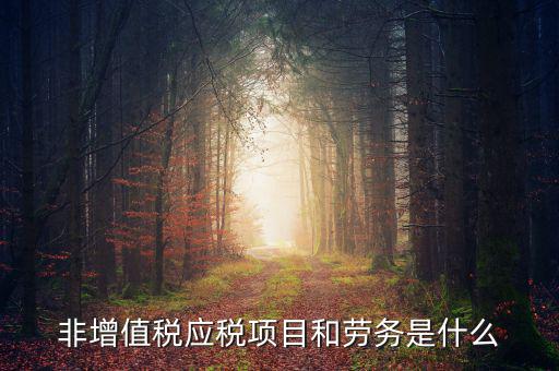 什么是非增值稅應(yīng)勞務(wù)，什么是非增值稅應(yīng)稅勞務(wù)希望懂的朋友能夠說(shuō)得通俗易懂點(diǎn)或是舉