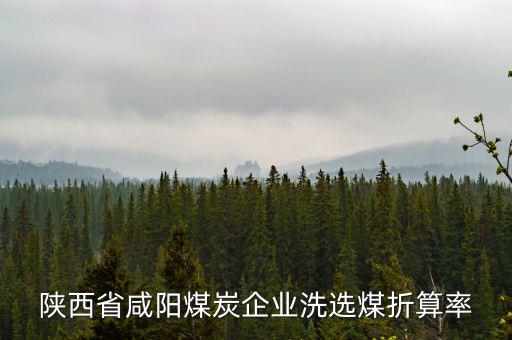 什么是洗選煤折算率，不是說選煤洗煤不交資源稅嗎為什么要乘選煤折算率再乘稅率呢