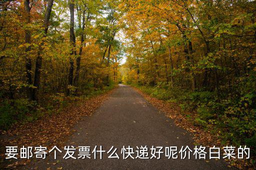 深圳國稅發(fā)票是寄什么快遞，寄發(fā)票用什么快遞