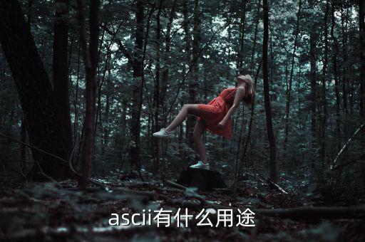 稅優(yōu)識別碼有什么用，ascii有什么用途
