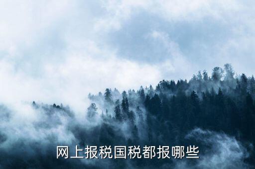 國稅申報什么，國稅局是報什么稅