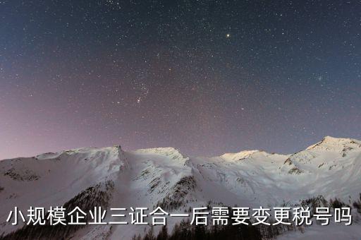 什么情況需要變更稅號(hào)，小規(guī)模企業(yè)三證合一后需要變更稅號(hào)嗎