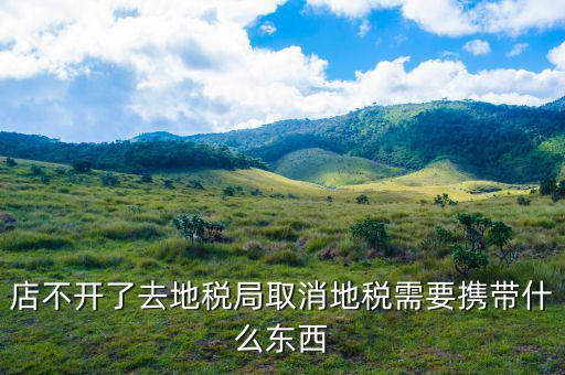 去地稅作廢申報(bào)需要帶什么手續(xù)，去地稅局辦撤回個(gè)人所得稅申報(bào)用帶什么