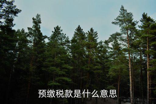已預(yù)繳稅費(fèi)指什么，預(yù)繳稅款是什么意思
