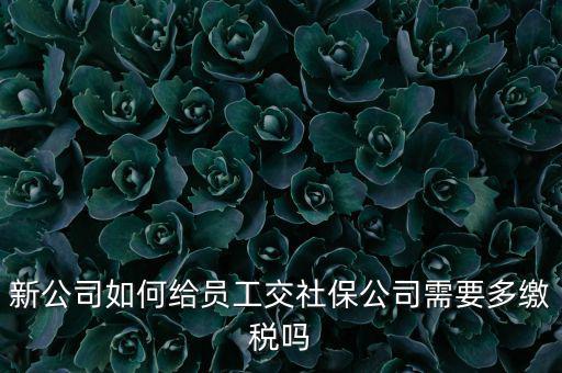 公司交社保要交什么稅，企業(yè)為員工交養(yǎng)老保險要不要交稅的