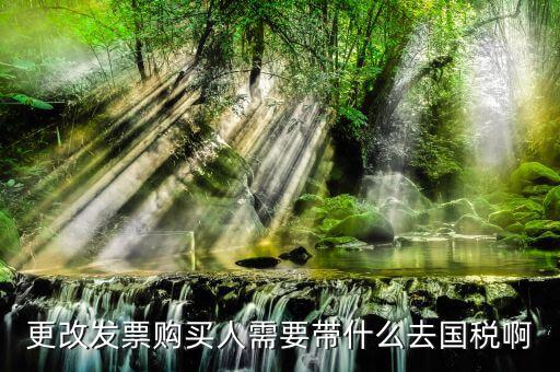 更改發(fā)票價(jià)格需要帶上什么東西，變更發(fā)票購(gòu)買人需要帶什么東西去稅務(wù)局