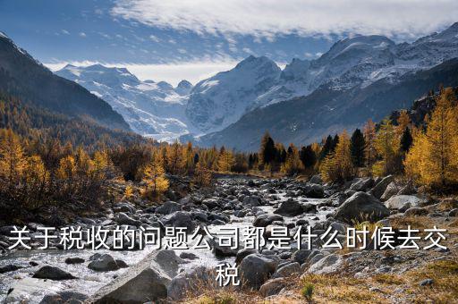每個(gè)什么時(shí)候交稅，關(guān)于稅收的問題公司都是什么時(shí)候去交稅