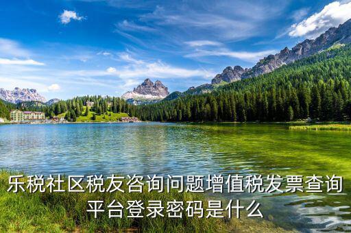 樂稅社區(qū)稅友咨詢問題增值稅發(fā)票查詢平臺(tái)登錄密碼是什么