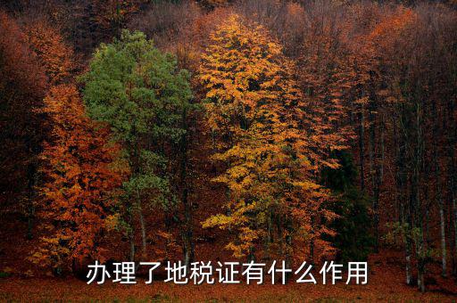 地稅局作用是什么，地稅局給我們帶來(lái)了哪些好處