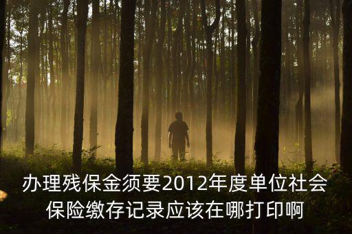 辦理殘保金須要2012年度單位社會保險繳存記錄應該在哪打印啊