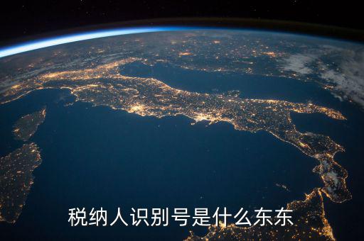 企業(yè)稅務(wù)識(shí)別號(hào)是什么意思，稅納人識(shí)別號(hào)是什么東東