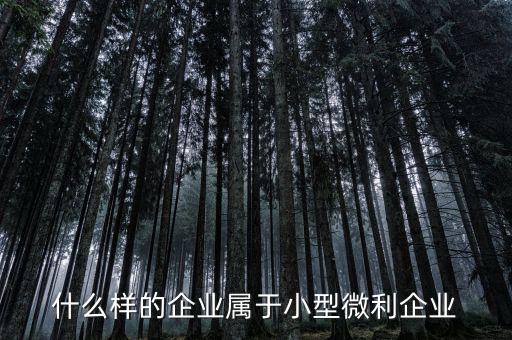 什么屬于小微企業(yè)，小微企業(yè)是什么