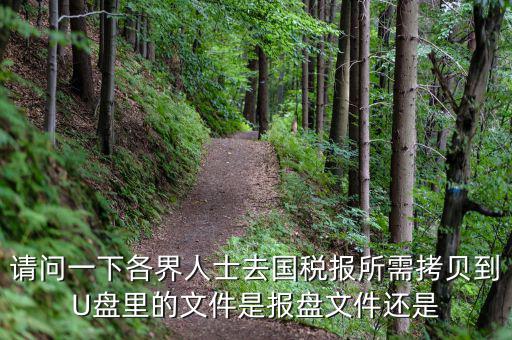 稅務(wù)報(bào)盤文件是什么，請(qǐng)問一下各界人士去國(guó)稅報(bào)所需拷貝到U盤里的文件是報(bào)盤文件還是